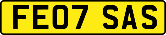 FE07SAS