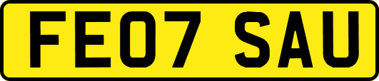 FE07SAU