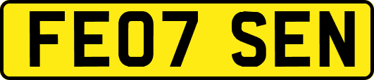 FE07SEN