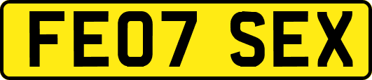 FE07SEX
