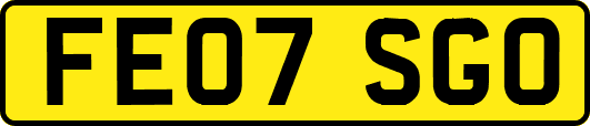 FE07SGO