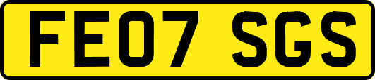 FE07SGS