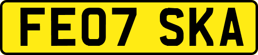 FE07SKA