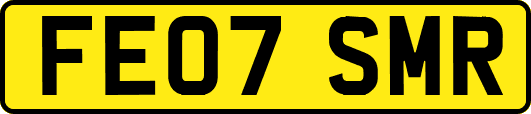 FE07SMR