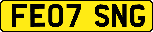 FE07SNG