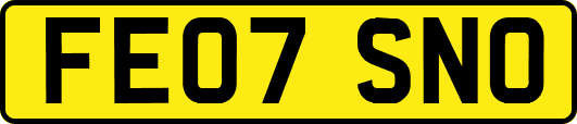 FE07SNO