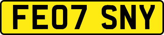 FE07SNY