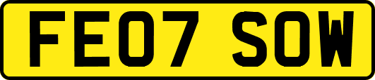 FE07SOW