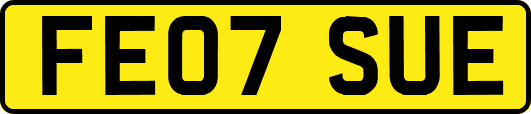 FE07SUE