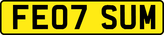 FE07SUM