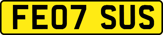 FE07SUS