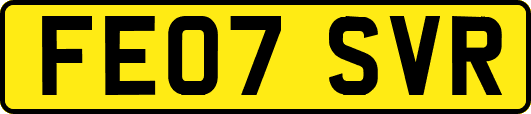 FE07SVR