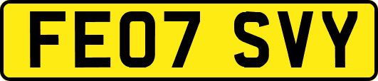 FE07SVY