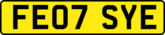 FE07SYE