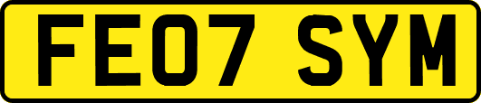 FE07SYM