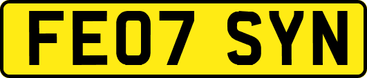 FE07SYN