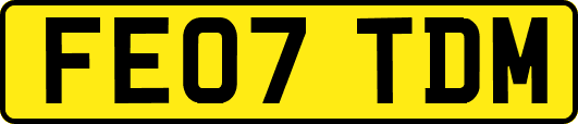 FE07TDM