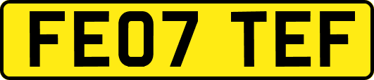 FE07TEF