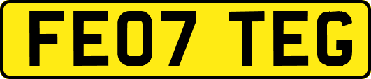 FE07TEG