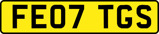 FE07TGS