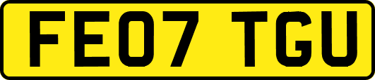 FE07TGU
