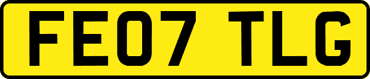 FE07TLG