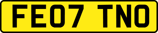FE07TNO