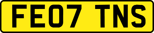 FE07TNS