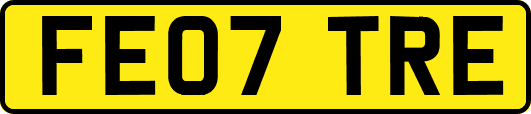 FE07TRE