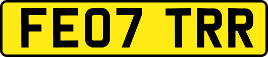FE07TRR