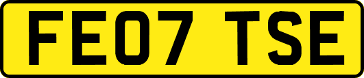 FE07TSE