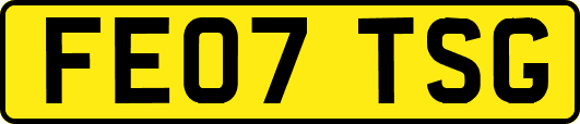 FE07TSG