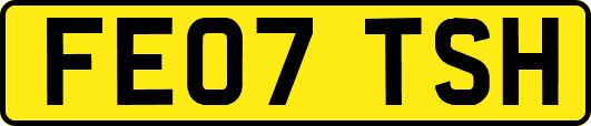 FE07TSH