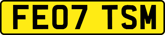 FE07TSM
