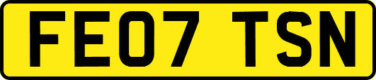 FE07TSN