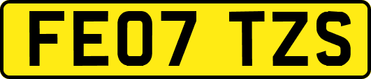 FE07TZS