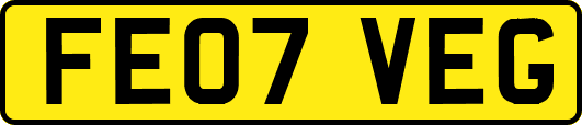 FE07VEG