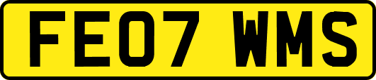 FE07WMS