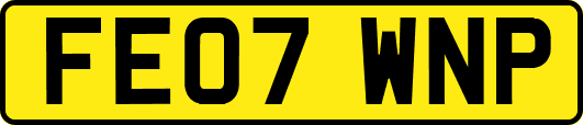 FE07WNP