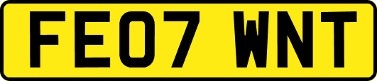 FE07WNT
