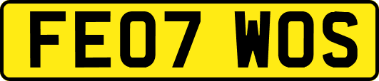 FE07WOS