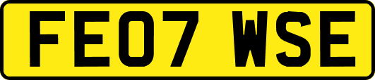 FE07WSE