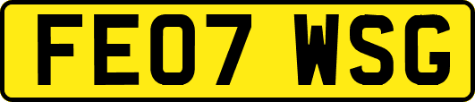 FE07WSG