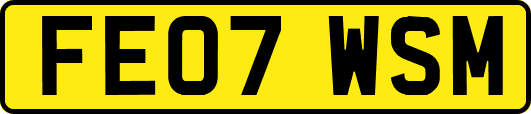 FE07WSM