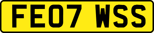 FE07WSS