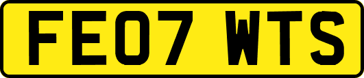 FE07WTS