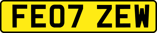 FE07ZEW