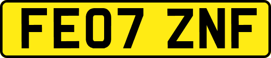 FE07ZNF