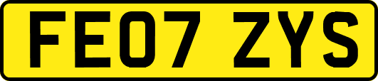 FE07ZYS