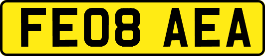 FE08AEA